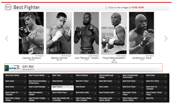 Best Fighter