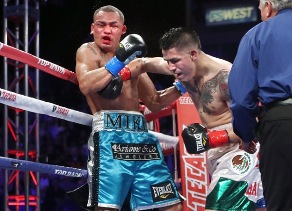 Round By Round Boxing