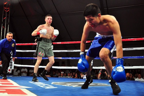 Round By Round Boxing