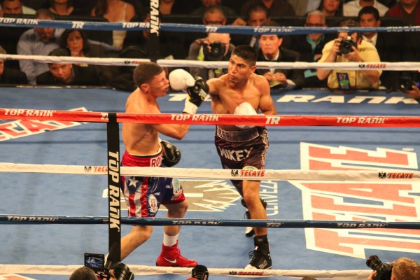 Round By Round Boxing