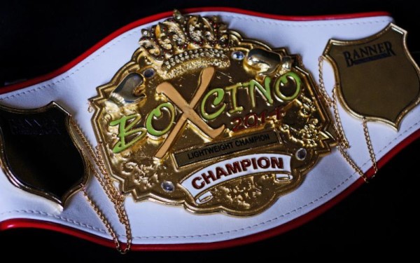 Boxcino Finals Set for Friday