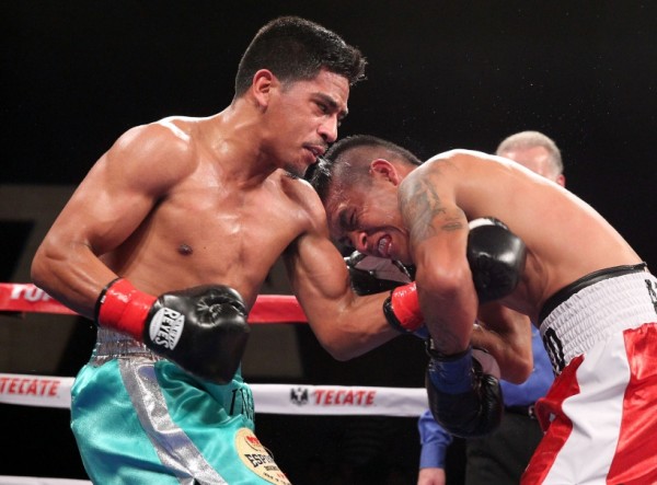DMag Solo Boxeo Al Applerose4