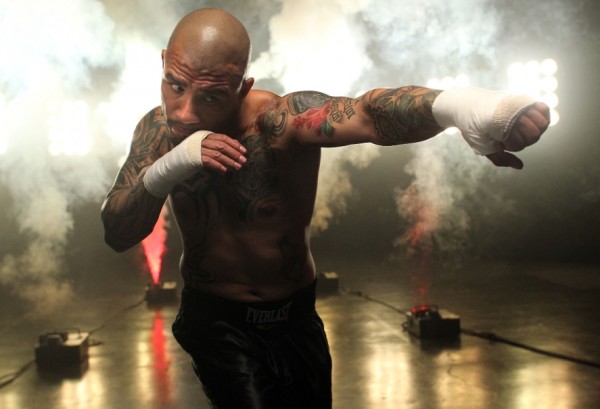 Fight Blog: Miguel Cotto Part 2