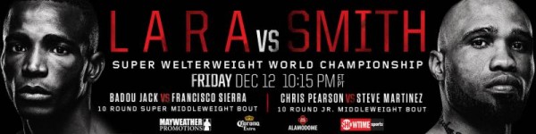 Lara Smith Banner