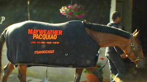 Kentucky Derby Horse to Promote Mayweather vs. Pacquiao Fight