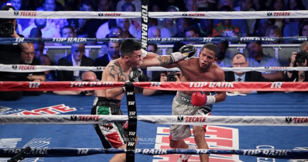Photo Gallery 2 & 3 | Felix Verdejo vs. Ivan Najera Fight Night