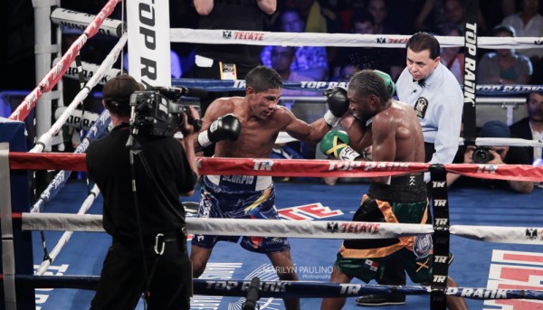 Nicholas Walters Miguel Marriaga - Marilyn Paulino RBRBoxing (12)