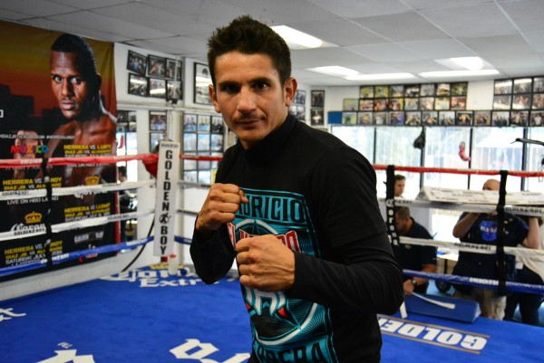 Herrera vs. Lundy Media Day - Ismael Gallardo Westide Boxing (9)