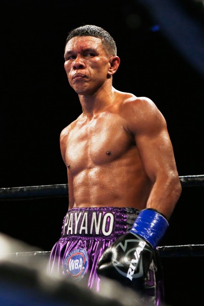 “I’ll Be Ready for War, Warren Is in Trouble”