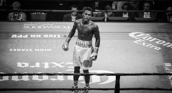 Round By Round Boxing