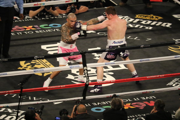 Cotto - Canelo - RBRBoxing (15)