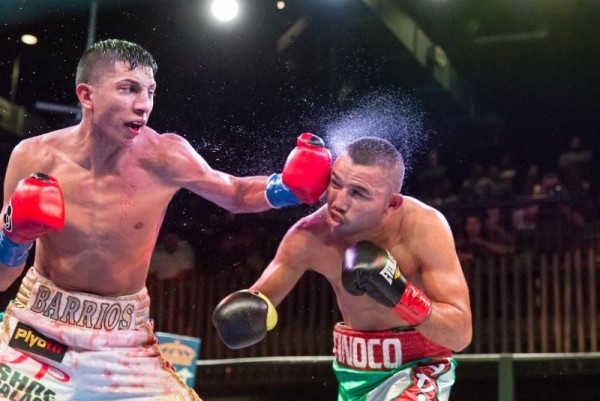 Round By Round Boxing