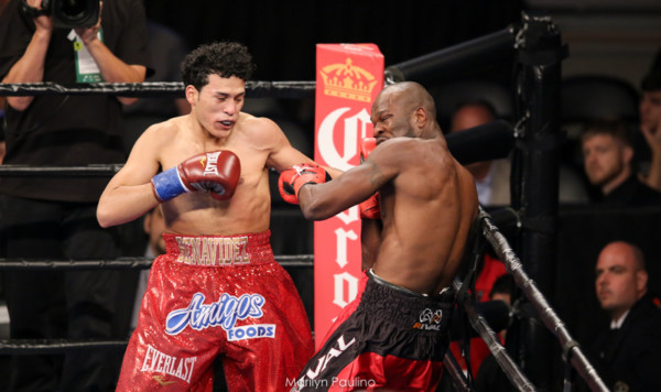 Round By Round Boxing