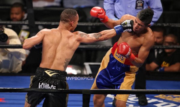 Regis Prograis - MVP RBRBoxing