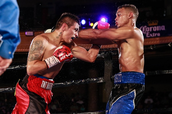 Round By Round Boxing