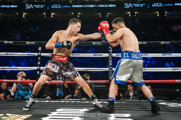Round By Round Boxing