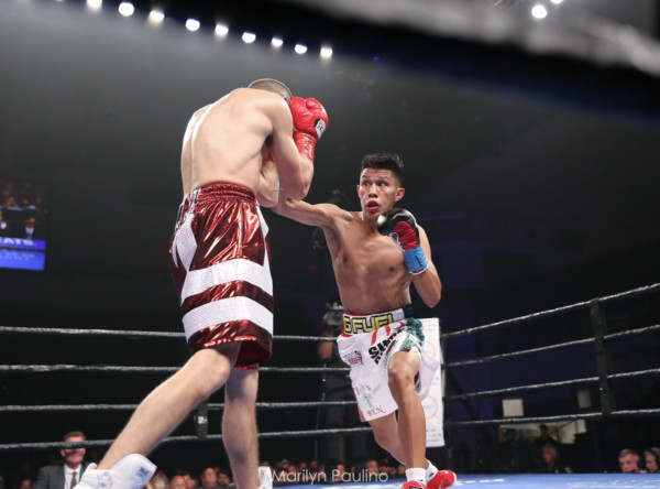 Charlo vs. Adams Undercard: Miguel Flores Takes on Luis Mary June 29