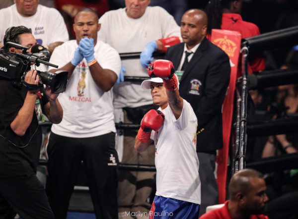 Round By Round Boxing