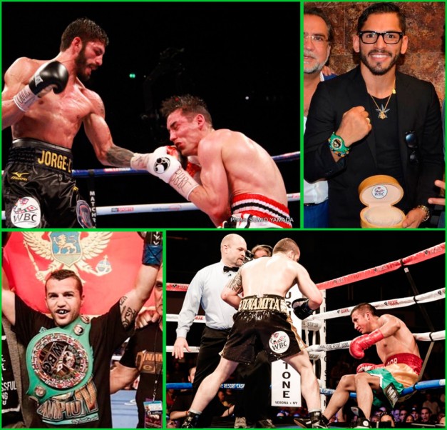 WBC Lightweight Division Update