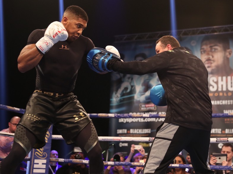 Joshua vs. Molina: Media Workout Photos & Quotes