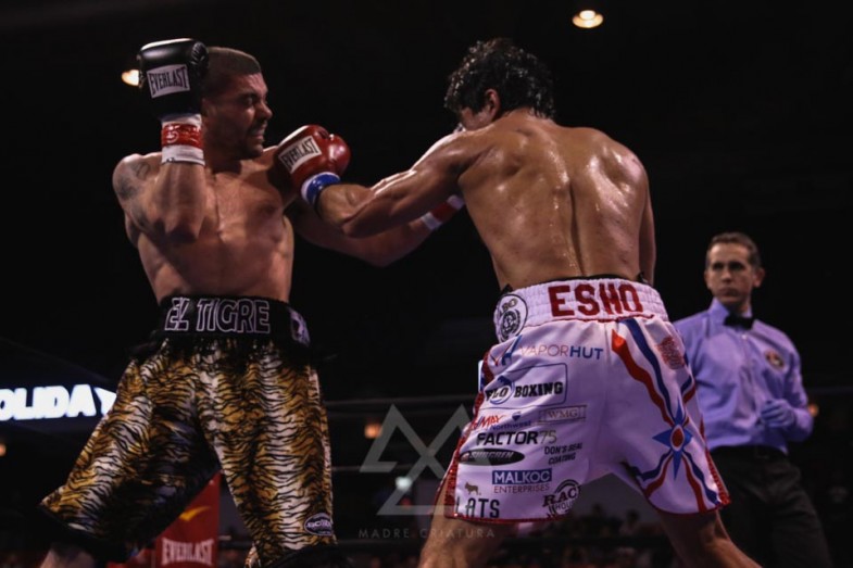 Photo Gallery | Windy City Fight Night