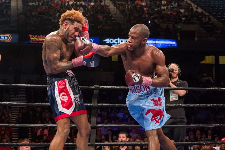 Tony Harrison Returns to Action on Lara vs. Gausha Undercard
