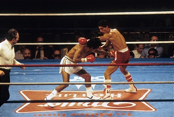 Wilfredo Gomez Lupe Pintor