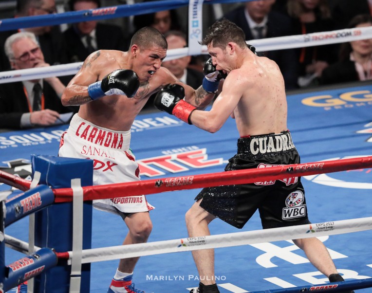 Carlos Cuadras vs. David Carmon - MVP RBRB (15)