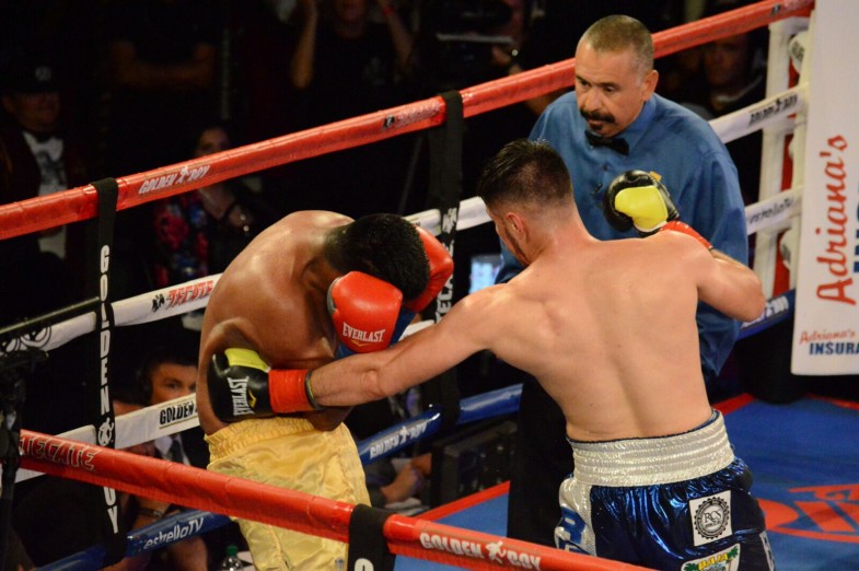 Round By Round Boxing