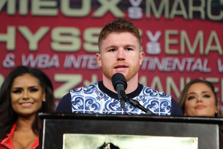 CaneloChavezFinalPC_Hoganphotos3