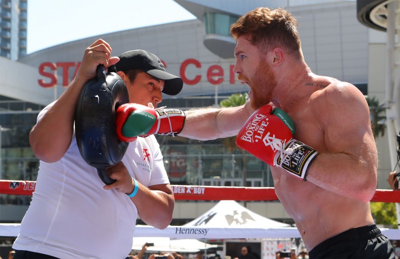 Canelo vs. GGG: Canelo Blog Part 3