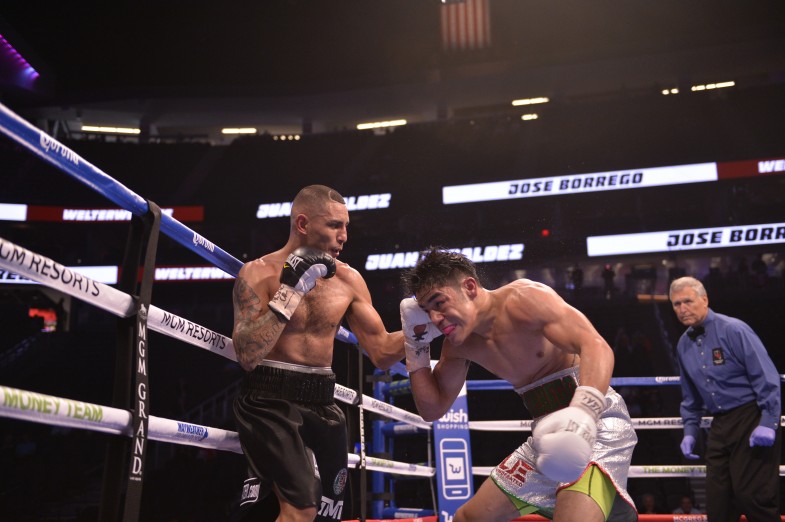 Round By Round Boxing