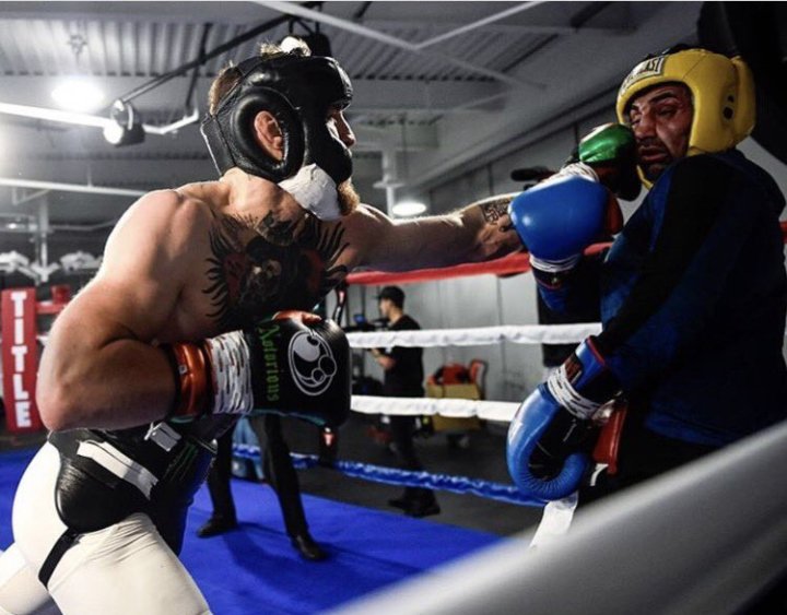 Watch Conor McGregor vs. Paulie Malignaggi Sparring