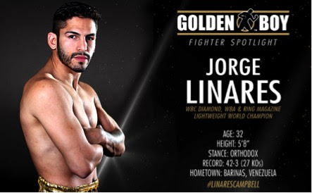 Golden Boy Promotions Spotlight: Jorge Linares