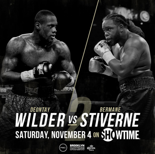 Deontay Wilder vs. Bermane Stiverne Media Conference Call Transcript