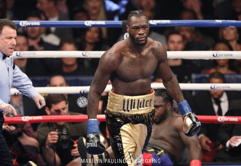 Deontay Wilder Scores Ferocious Knockout of Bermane Stiverne in Round 1