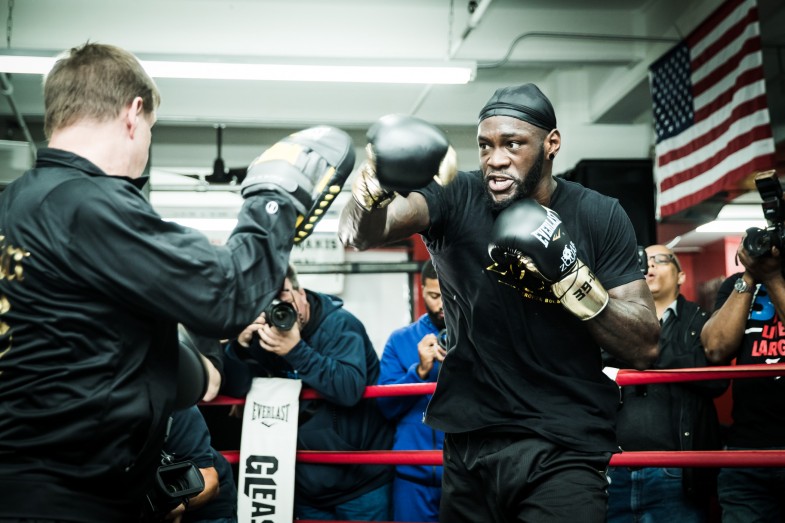 Deontay Wilder vs. Bermane Stiverne Media Workout Quotes & Photos