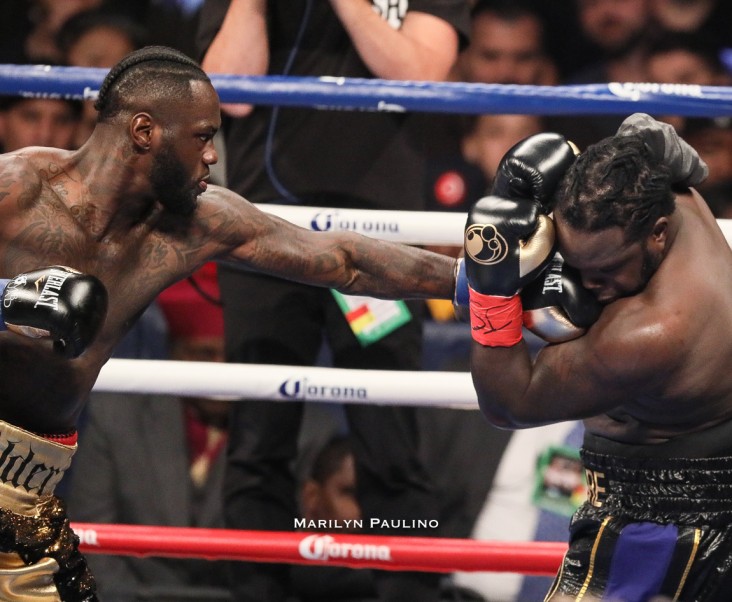 Photo Gallery | Deontay Wilder vs. Bermane Stiverne Fight Night