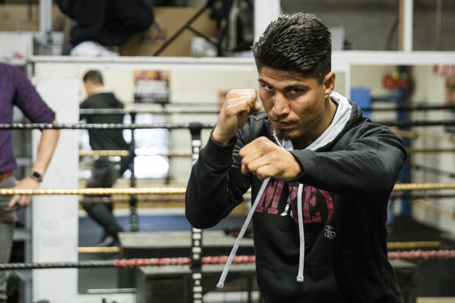 Round By Round Boxing