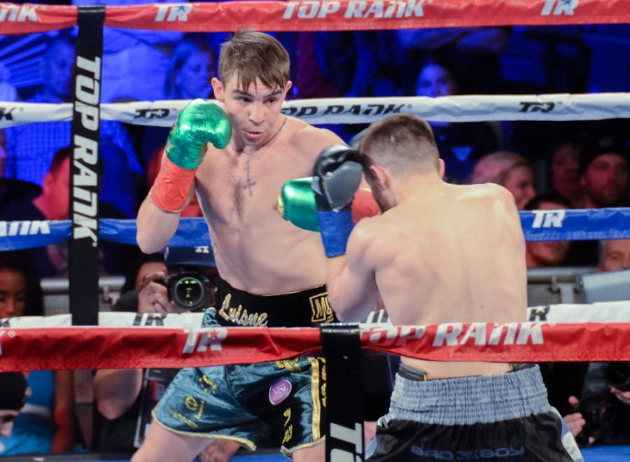 Michael Conlan Lights up The Garden Again With Brutal Stoppage of Berna