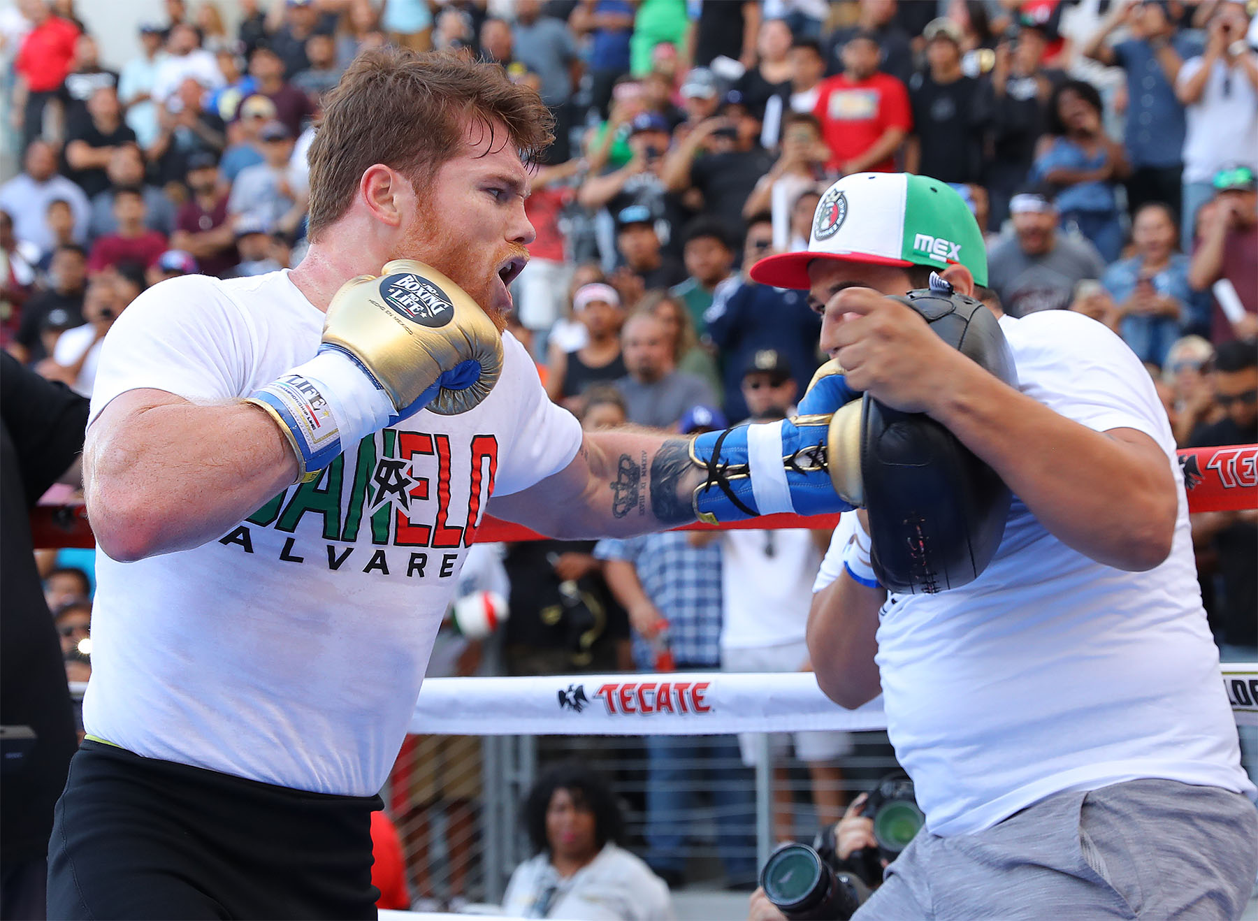 What To Know About Using A Punch Shield For Boxing