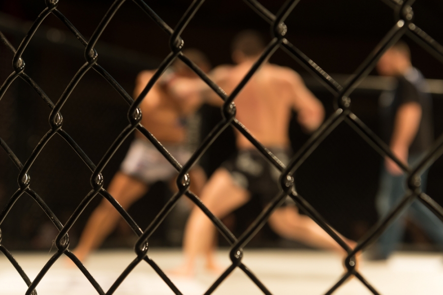 MMA Pro League Announces Broadcast Team & Ring Announcer