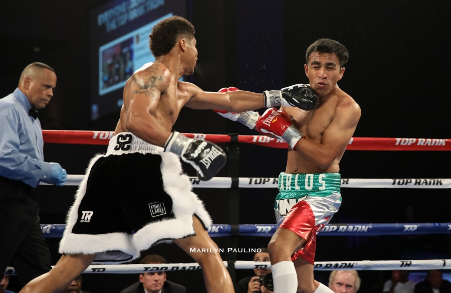 Photos | Shakur Stevenson vs. Carlos Ruiz Fight Night