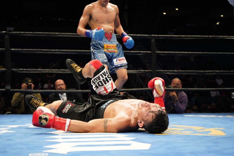 Round By Round Boxing