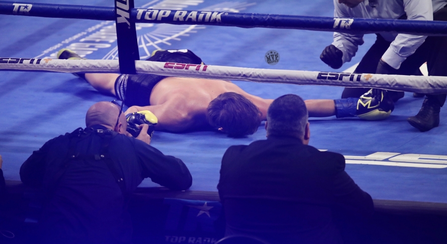 Teofimo Lopez Delivers Huge KO of Mason Menard