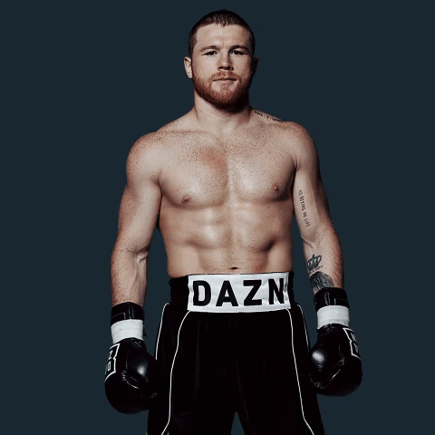 Who Do You Want Canelo Alvarez to Face in 2019?