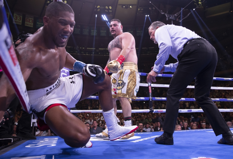 Photos | Anthony Joshua vs. Andy Ruiz Fight Night