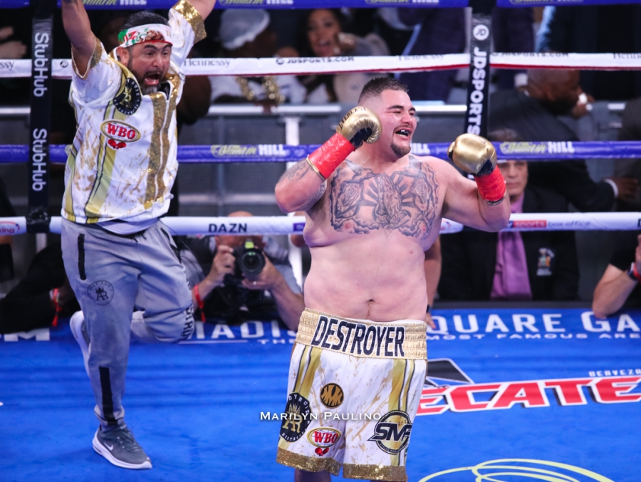 2019 Midyear Boxing Awards