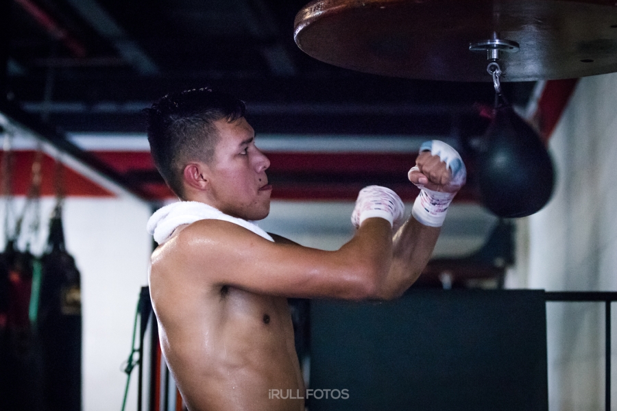 Miguel Flores Training Camp Quotes & Photos