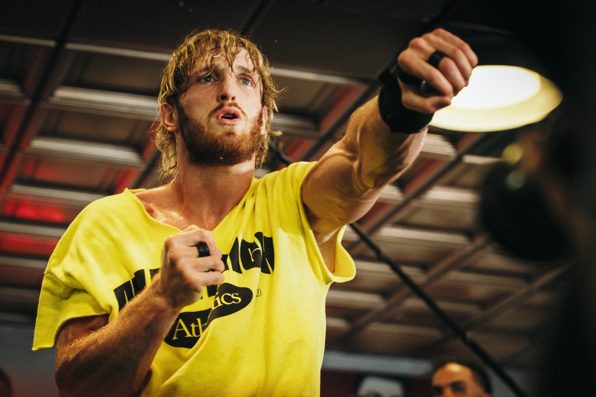 Logan Paul Media Workout Quotes And Photos
